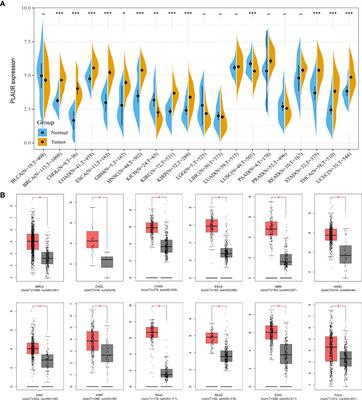 Identification of PLAUR-related ceRNA and immune prognostic signature for kidney renal clear cell carcinoma